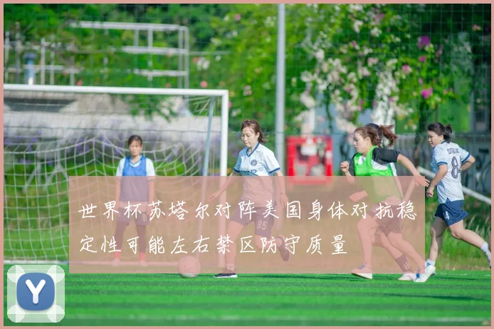 世界杯苏塔尔对阵美国身体对抗稳定性可能左右禁区防守质量