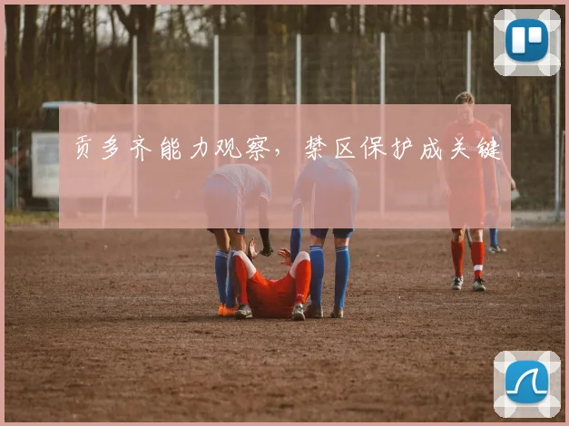贡多齐能力观察，禁区保护成关键